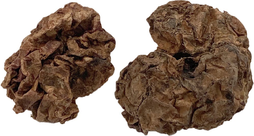 CT-632 ストロングマタタビの実 20g 虫えい果 4906456578468【別送品