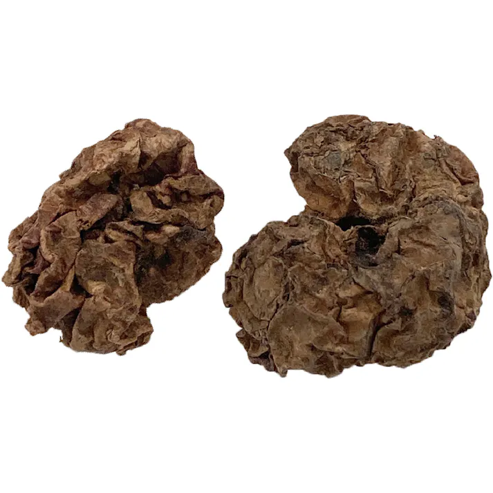 CT-632 ストロングマタタビの実 20g 虫えい果 4906456578468【別送品】