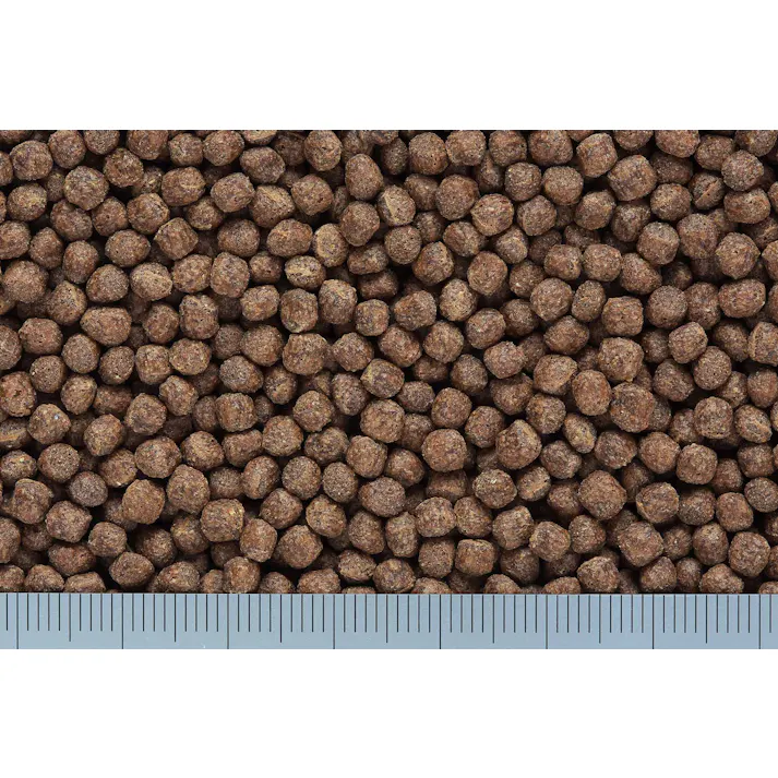 ひかり 色揚小粒300g 魚用品 錦鯉 鯉 色揚げ 4971618022318【別送品】