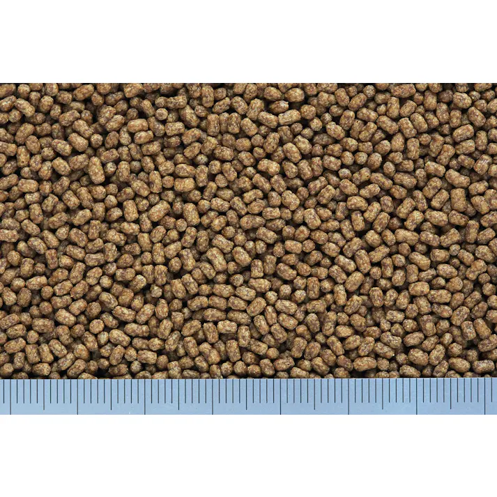 ひかり カメプロスミニ40g 魚用品 国産 4971618205100【別送品】