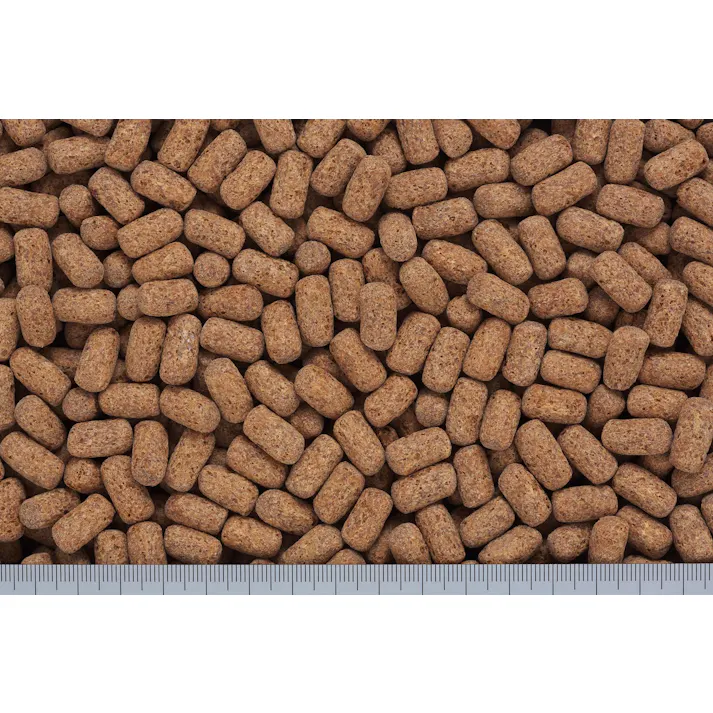 ひかり カメプロスヘルスケア560g 魚用品 国産 健康管理 4971618205858【別送品】