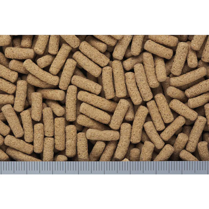 ひかり レオパドライ60g 魚用品 爬虫類フード 4971618206251【別送品】