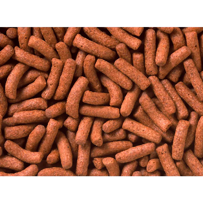 ひかり クレストカーニバル53g 魚用品 熱帯魚 4971618284105【別送品】