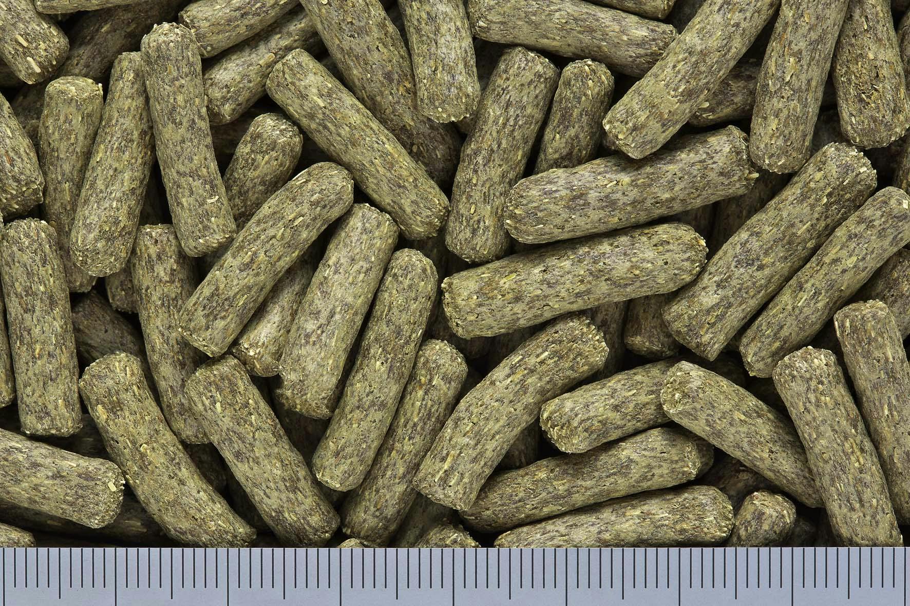 ひかり デグデグ400g 鳥・小動物 ペレットタイプ 国産 デグー