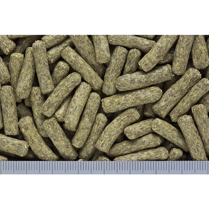 ひかり デグデグ400g 鳥・小動物 ペレットタイプ 国産 デグー 4971618728128【別送品】