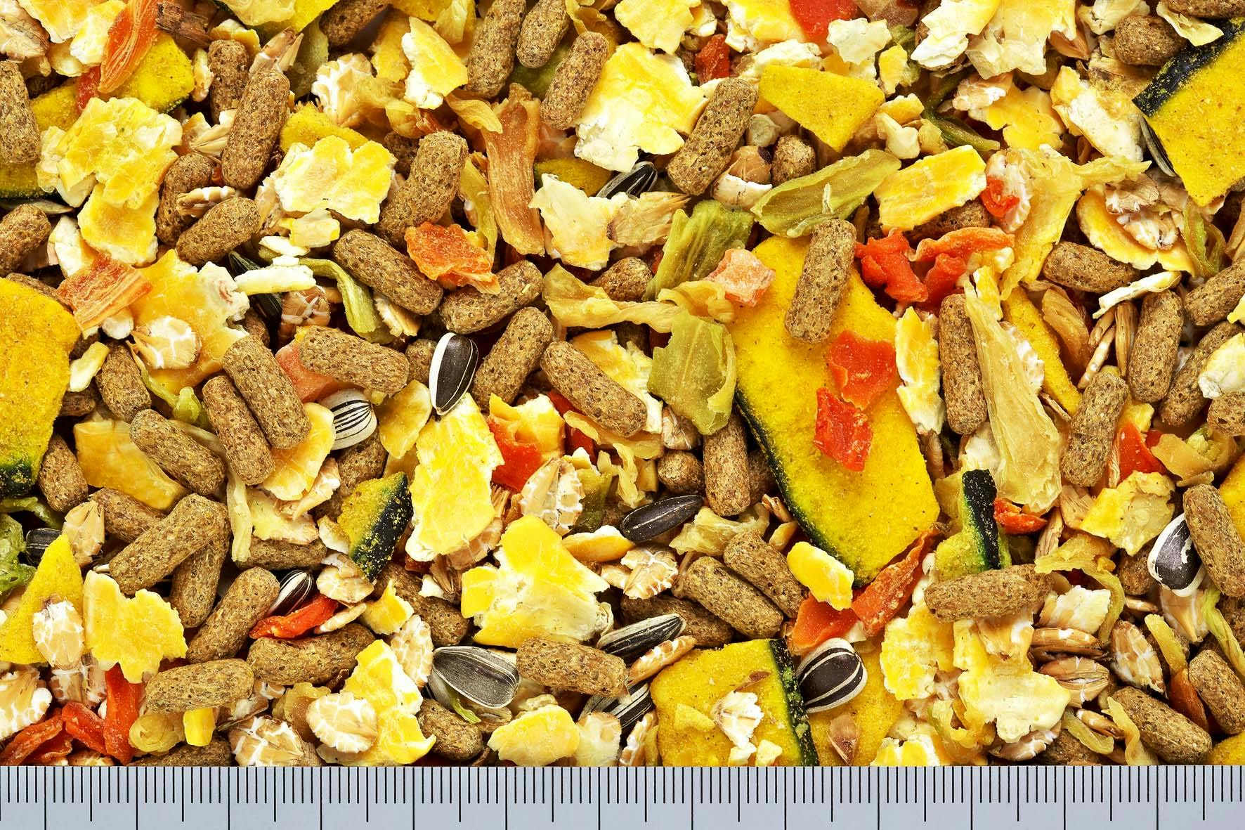 ハム Jaguar XF XJ 2010-2012 OEM Fuel Pump Housing Flange C2D25076