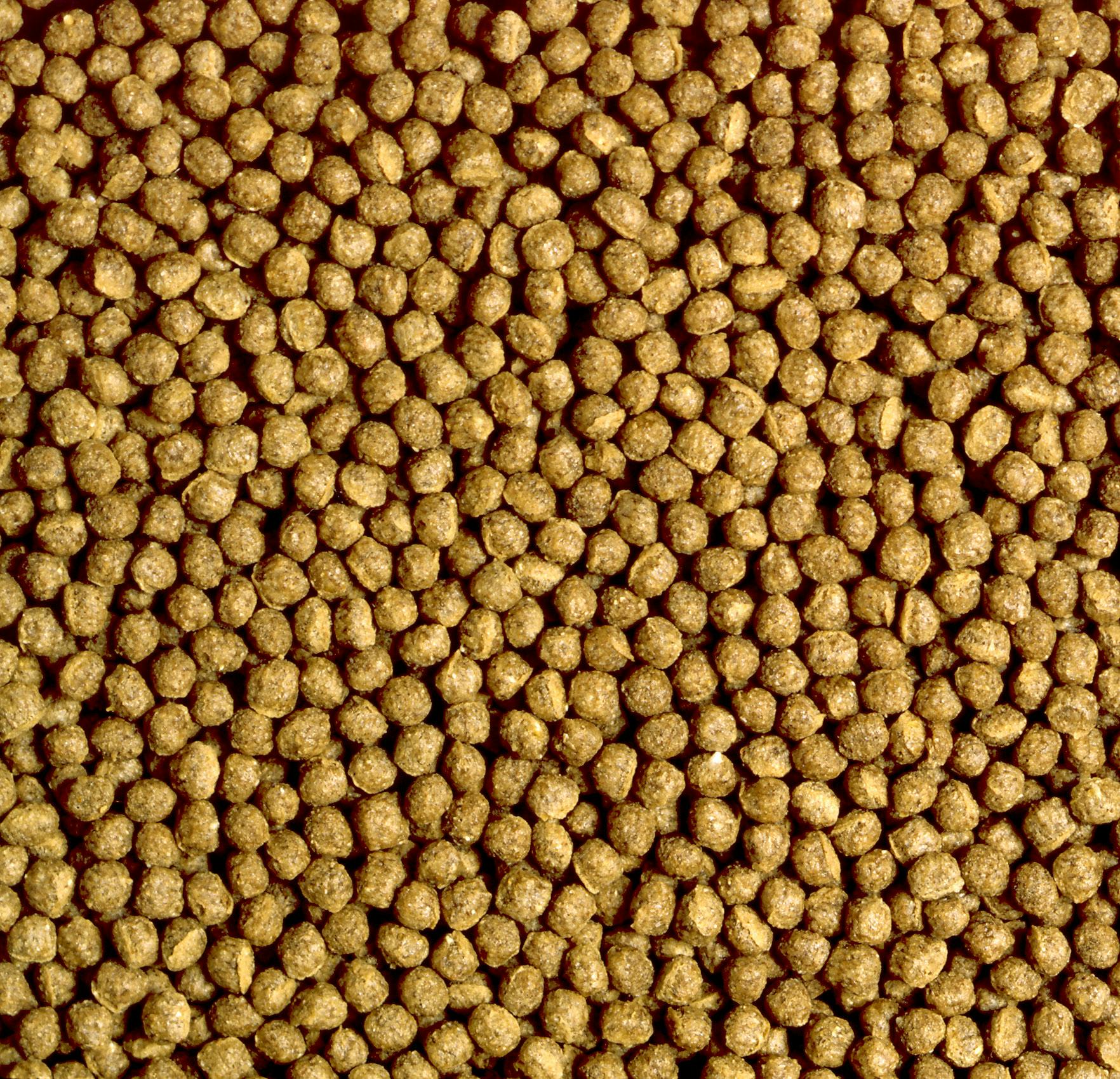 キョーリン ひかりカメのエサ小粒50g 魚用品 4971618819093 キョーリン ひかりカメのエサ小粒50g 魚用品 4971618819093