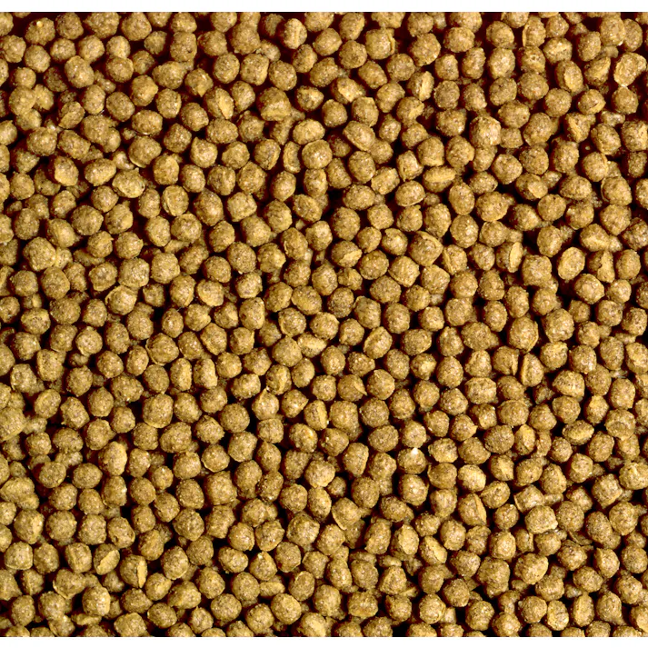 ひかり カメのエサ小粒50g 魚用品 国産 4971618819093【別送品】