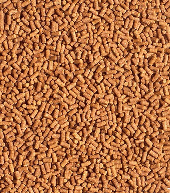 キョーリン ひかりザリガニのエサ50g 魚用品 4971618829092