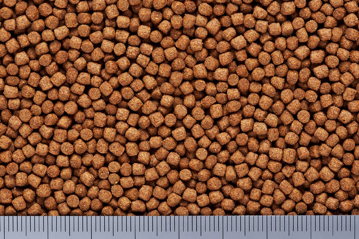 大きな魚の餌 ひかり キンギョのエサ大粒150g 魚用品 国産エサ 4971618849236