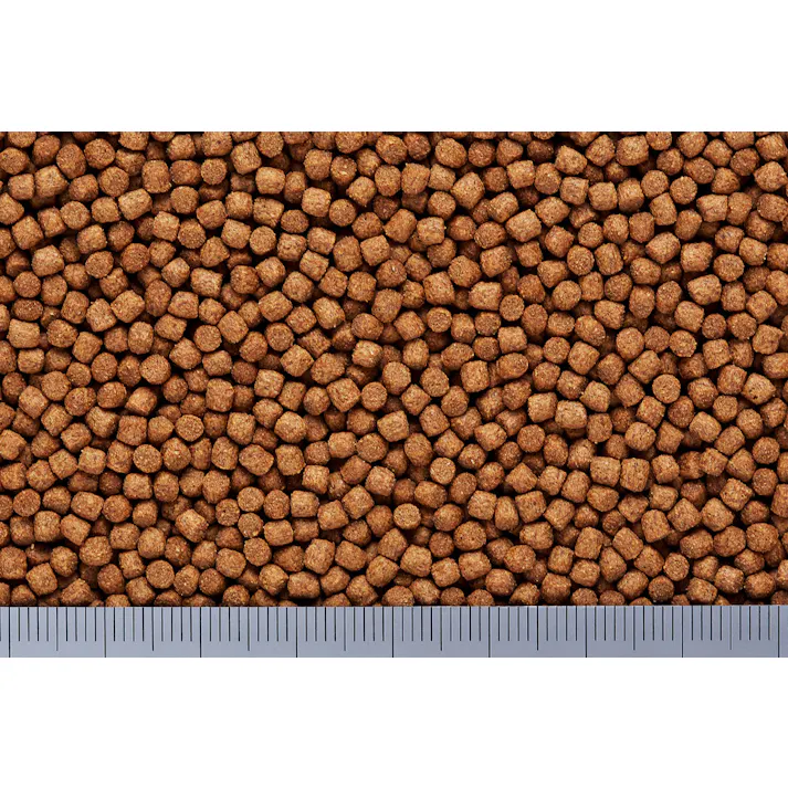 ひかり キンギョのエサ大粒150g 魚用品 国産エサ 4971618849236【別送品】