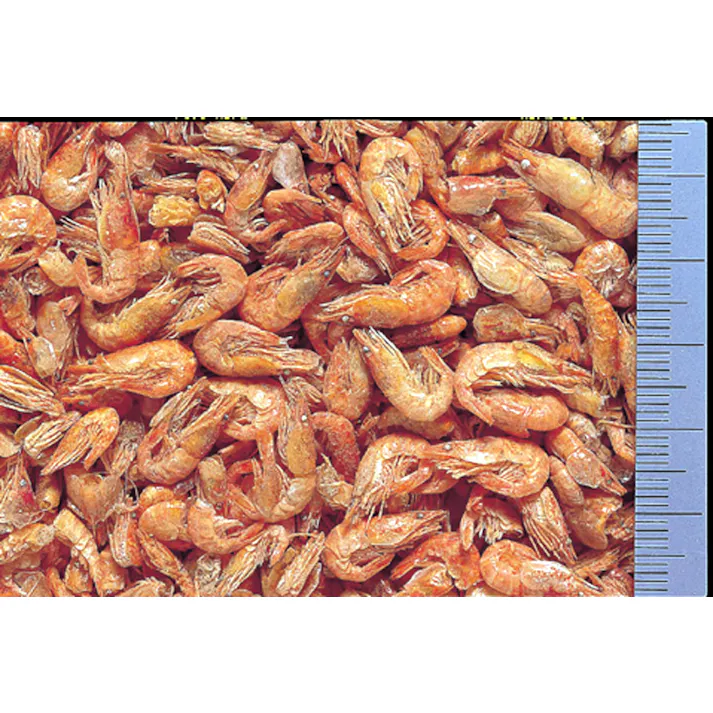 ひかり 乾燥川エビカメのごほうび徳用35g 魚用品 国産 4971618868060【別送品】