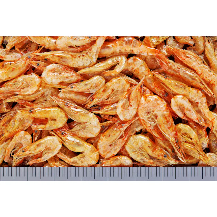 ひかり カメのごほうびうまいえび20g×2袋入 魚用品 国産 4971618868114【別送品】