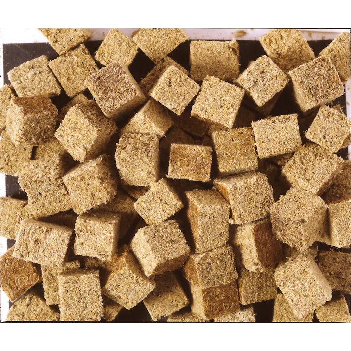 ひかり 乾燥イトミミズ10g 魚用品 高たんぱく 熱帯魚 金魚 4971618869043【別送品】