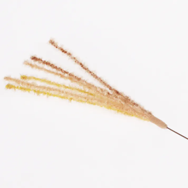 じゃれ猫 猫のお遊びススキ草 猫じゃらし 4976555843651【別送品】