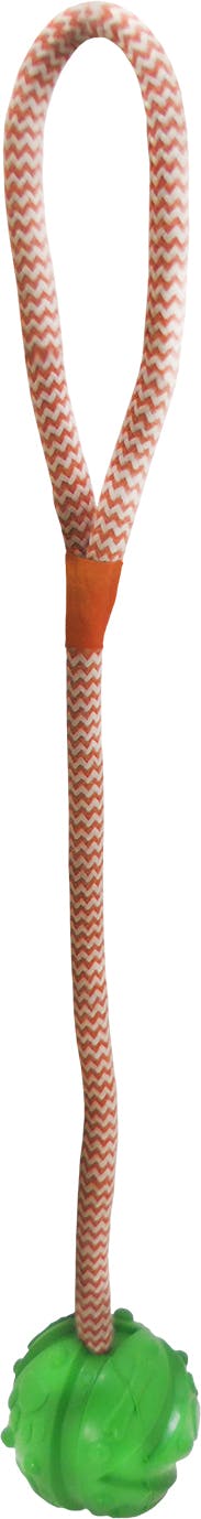 プラッツ Go FetchK-9 ボール S グリーン 犬具1クサリ・ブラシ 4979007101415 PZ10141 ボール・フリスビー玩具 プラッツ Go FetchK-9 ボール S グリーン 犬具1クサリ・ブラシ 4979007101415 PZ10141 ボール・フリスビー玩具