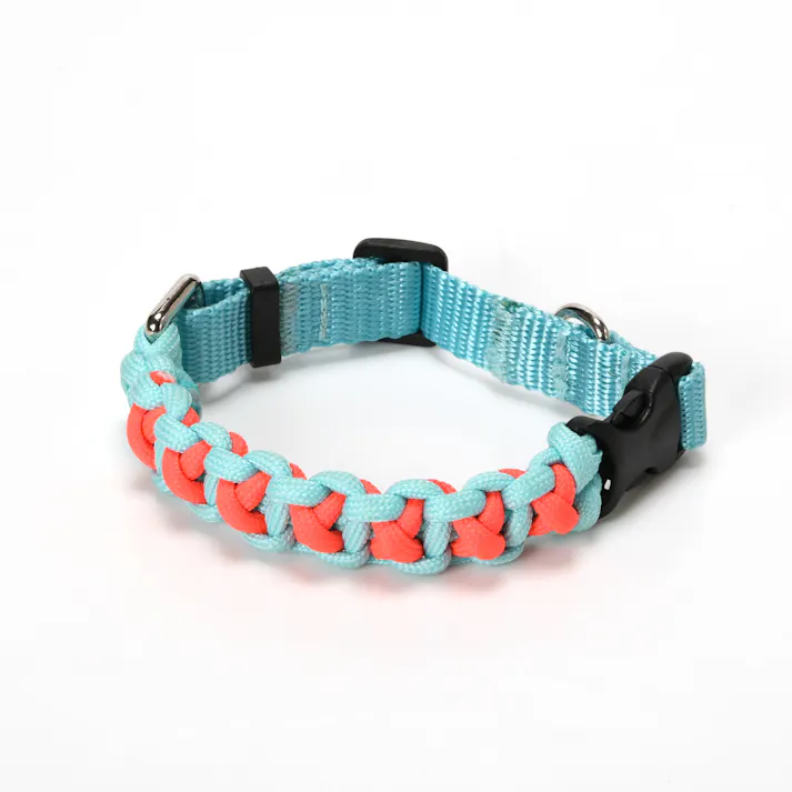 SOLGRA バイカラーコードカラー M Orange お散歩用品 耐久性 4573460310980【別送品】