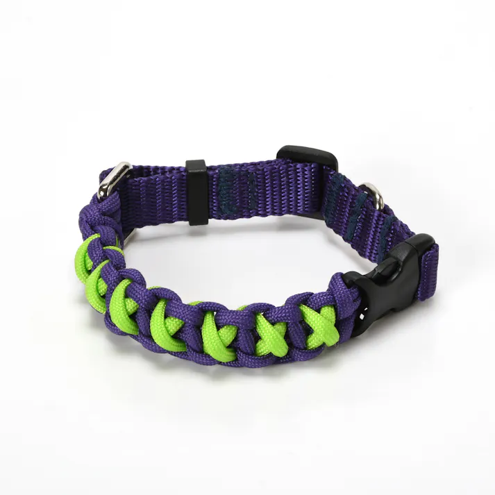 SOLGRA バイカラーコードカラー M Green お散歩用品 耐久性 4573460311048【別送品】