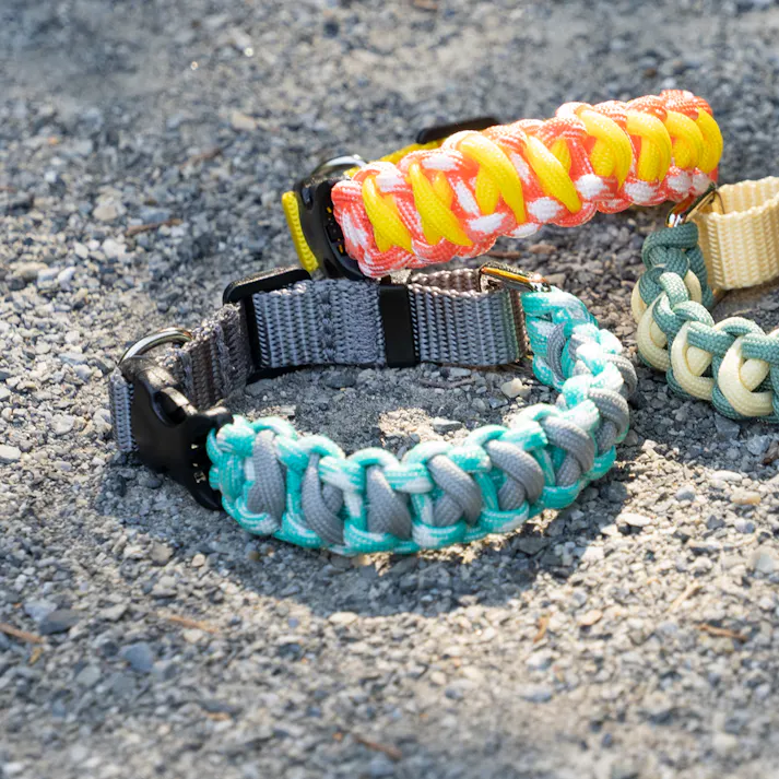 SOLGRA バイカラーコードカラー L Gray お散歩用品 耐久性 4573460314285【別送品】