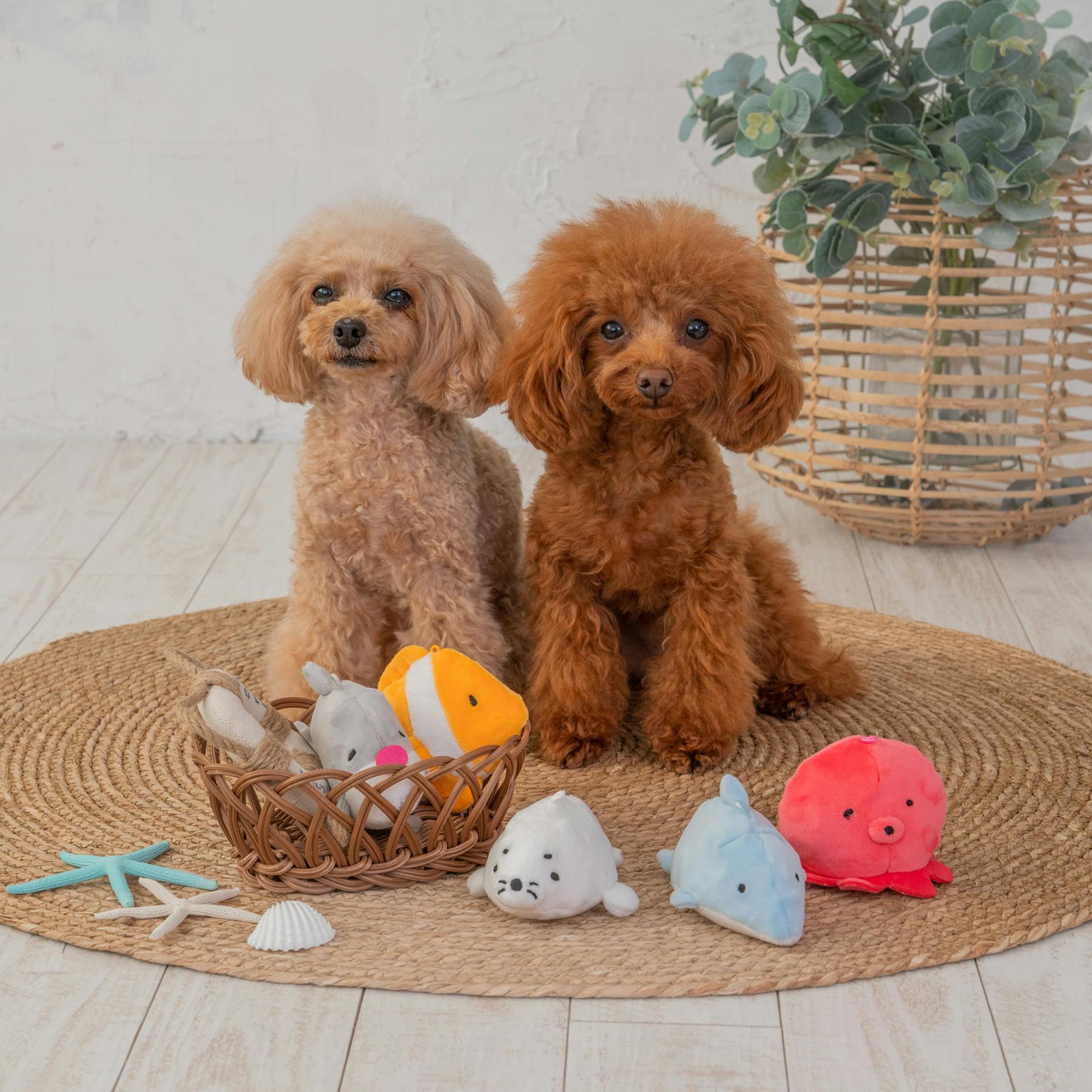 SOLGRA ぴょんぴょんイルカ Blue 音の鳴るおもちゃ ぬいぐるみ