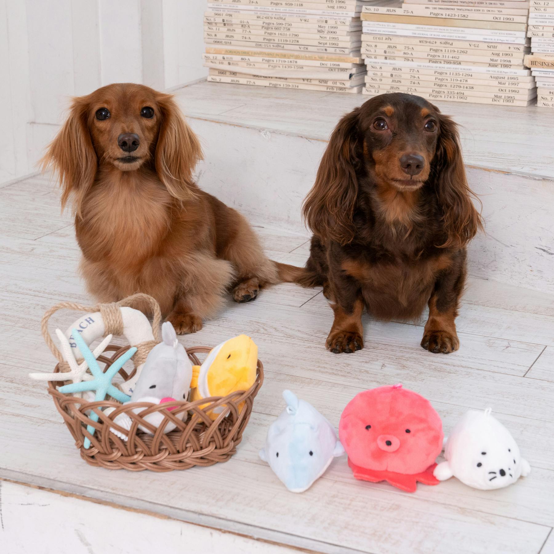 ラキドロ ソヌ 3枚セット ララブーム センソリーボール付 18 ピースセット - 【公式