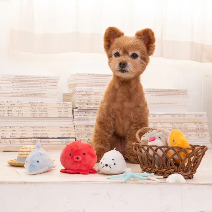 SOLGRA ひっそりクマノミ Yellow 音の鳴るおもちゃ ぬいぐるみ 4573460314889【別送品】