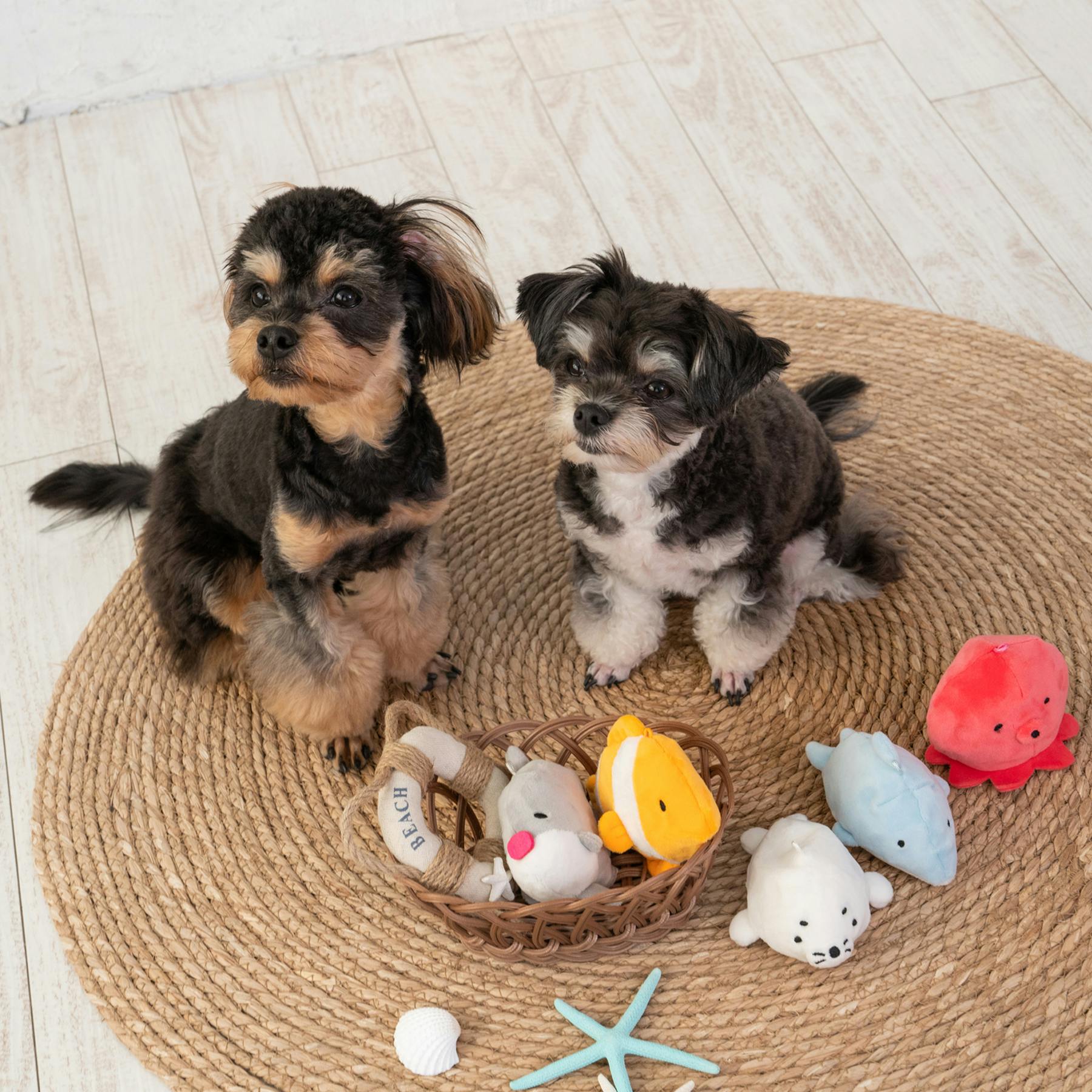 SOLGRA のんびりマンボウ Gray 音の鳴るおもちゃ ぬいぐるみ