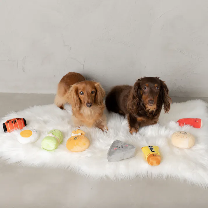 SOLGRA ピリッとからし Mustard 音の鳴るおもちゃ ぬいぐるみ 4573460315442【別送品】