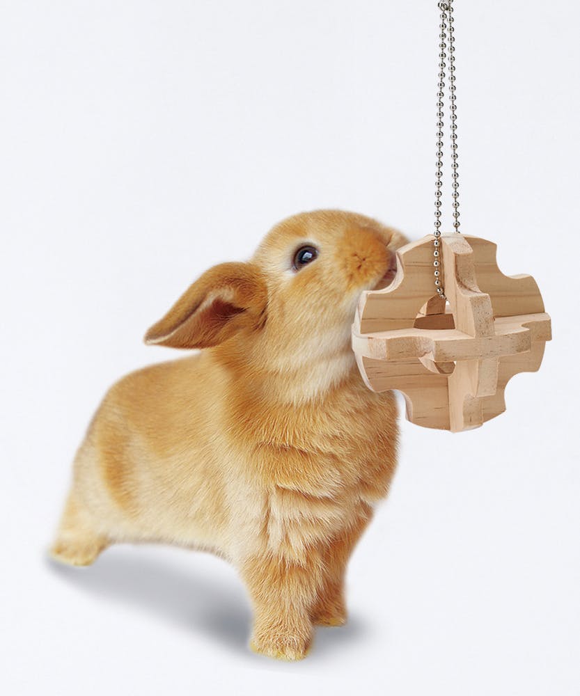 かじり木 ご予約品 ミニマルランド かじり木ボール 歯の伸び過ぎ予防 ストレス解消