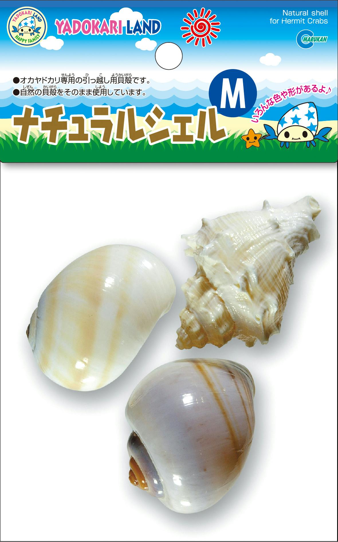 マルカン ヤドカリランド ナチュラルシェルM 3個入り JANコード:4906456529514 水槽用インテリア・底砂 マルカン ヤドカリランド ナチュラルシェルM 3個入り JANコード:4906456529514 水槽用インテリア・底砂