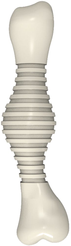 ワンコ ゴンタクラブ ゴン太のデンタルトイ ほねっこ風 ハード