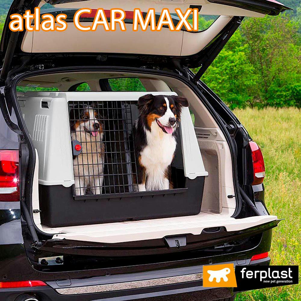 大型犬クレート　アトラスカーMAXI Amazon | ファープラスト アトラス CAR MAXI 大型犬用