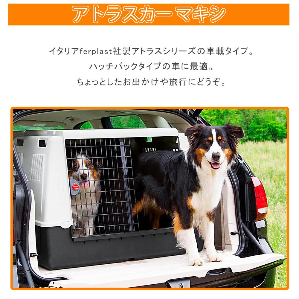 大型犬クレート　アトラスカーMAXI atc100.jpg