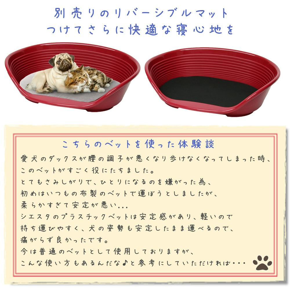 ♡SALE♡1027 PET 6cm×10m TEA LAB 海外マステ ペットステップ ｜ ミスターマックスオンラインストア