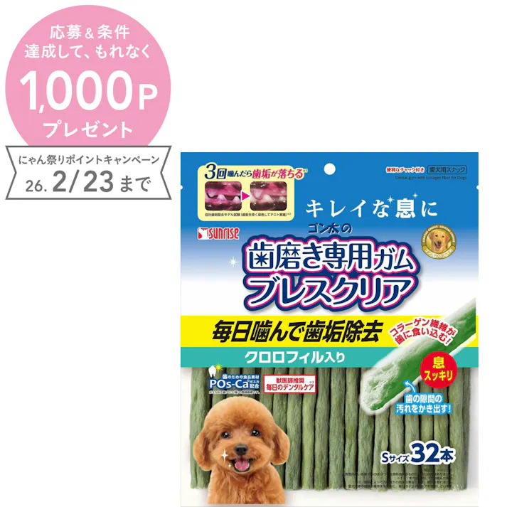 サンライズ ゴン太の歯磨き専用ガム ブレスクリア クロロフィルS32本 デンタルケア 4973321932892【別送品】