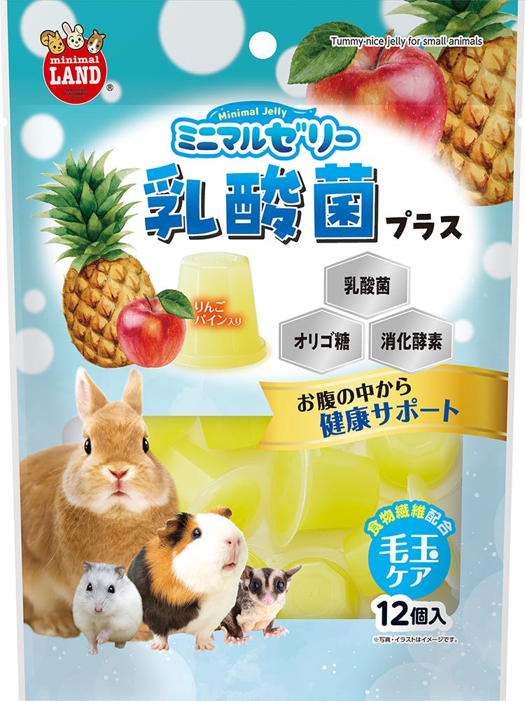 マルカン ML-576 Mゼリー乳酸菌プラス 12個 4906456581208 小動物用フード マルカン ML-576 Mゼリー乳酸菌プラス 12個 4906456581208 小動物用フード