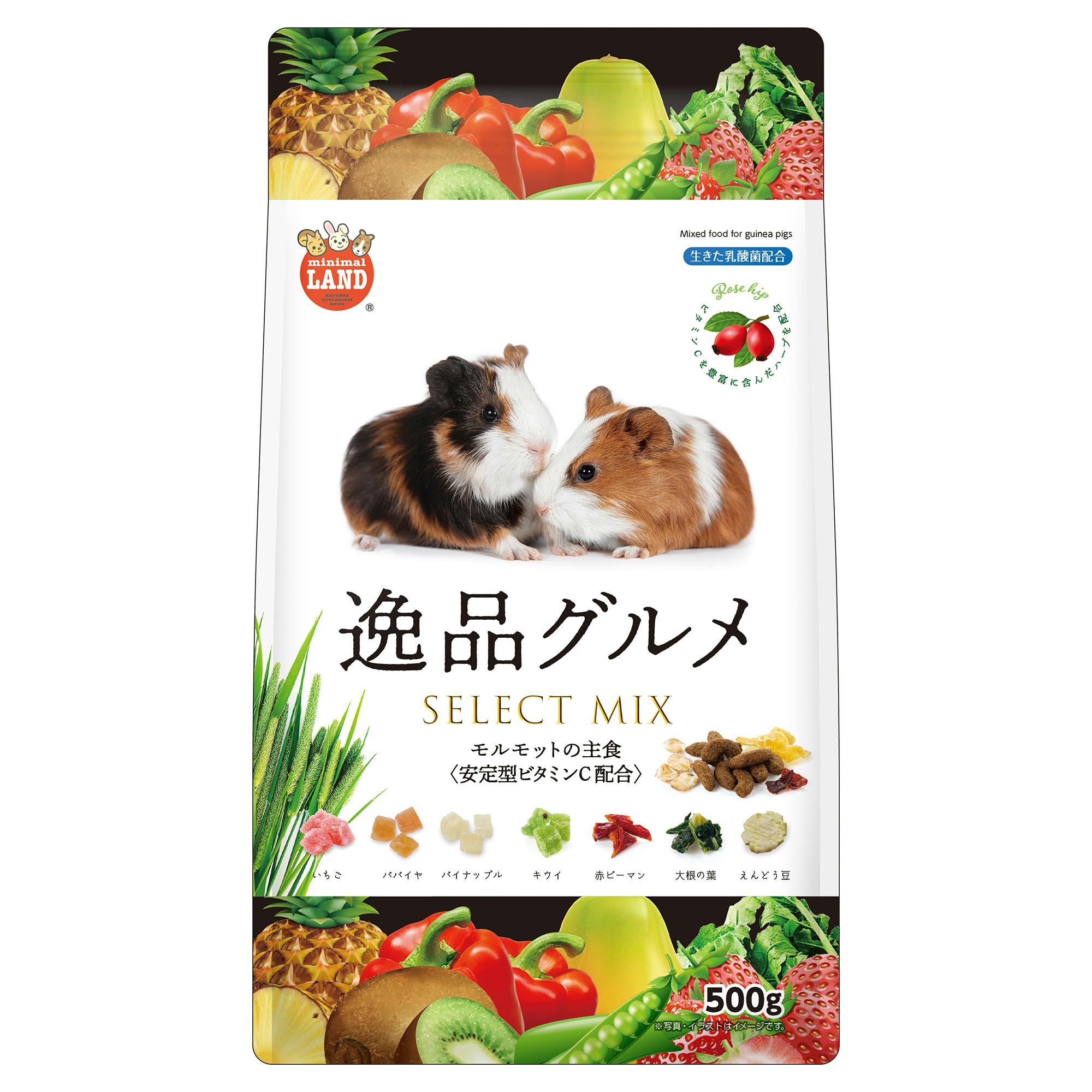 マルカン ML-593モルモットの主食逸品グルメ500g 4906456582496 小動物用フード マルカン ML-593モルモットの主食逸品グルメ500g 4906456582496 小動物用フード