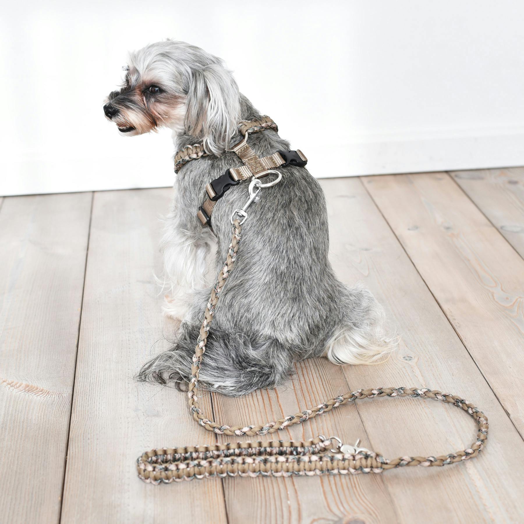 SOLGRA バイカラーコードハーネス M Mocha お散歩用品 耐久性