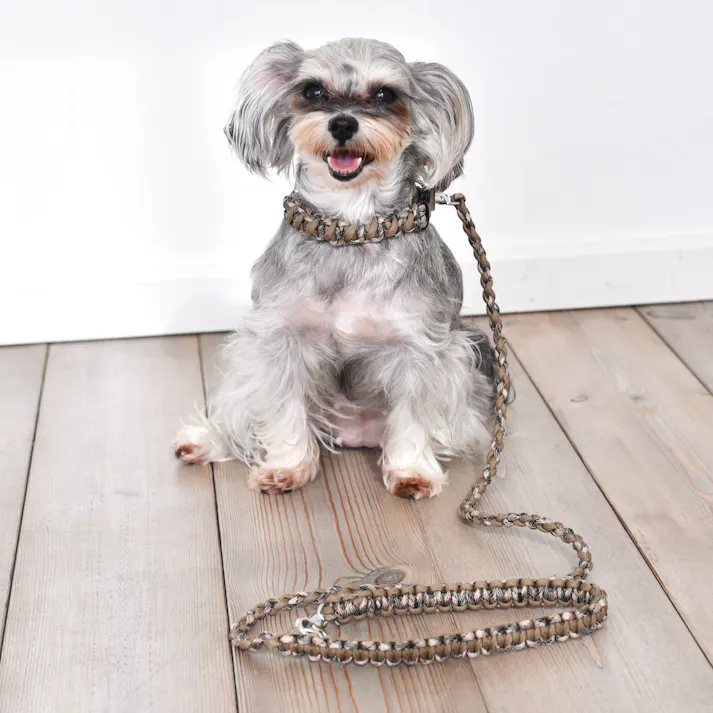 SOLGRA バイカラーコードカラー L Mocha お散歩用品 耐久性 4573460311086【別送品】