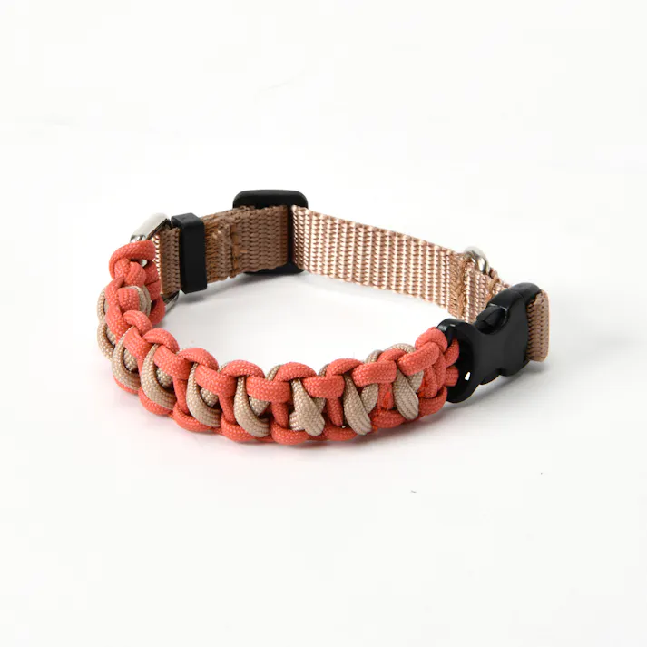 SOLGRA バイカラーコードカラー S Brown お散歩用品 耐久性 4573460314230【別送品】