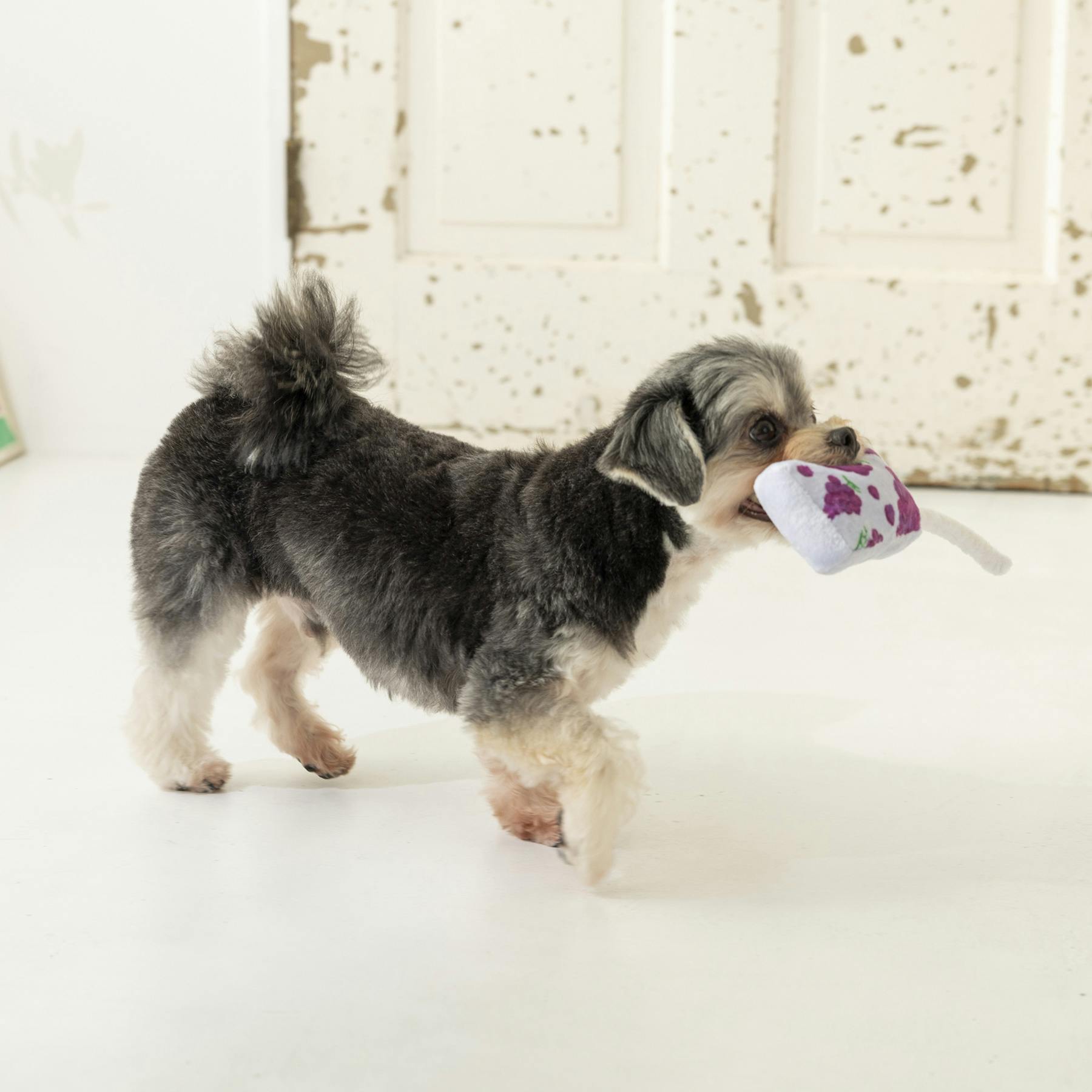 SOLGRA 伸びーるストローぶどう F Purple 音の鳴るおもちゃ ぬいぐるみ