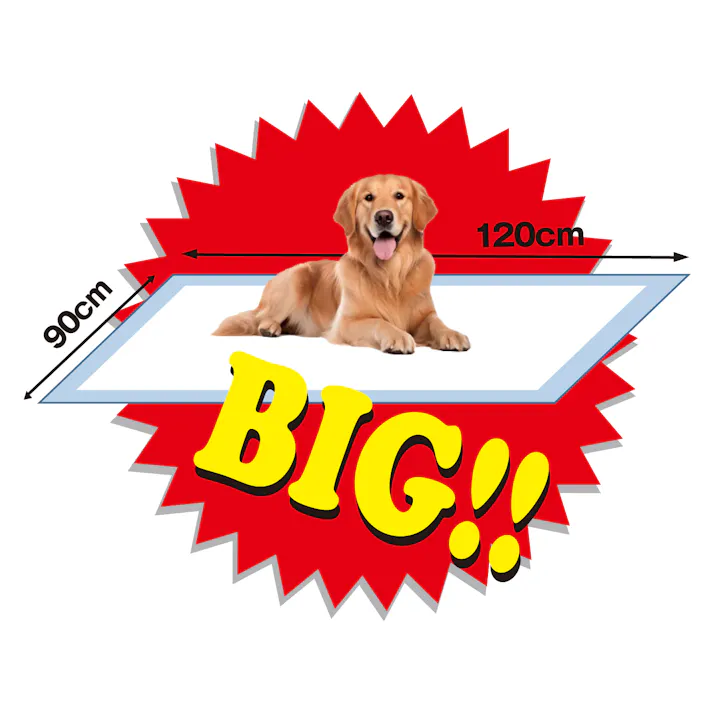 P.one サラ・シート超でかっ!シートうす型3枚 ペットシーツ 消臭機能 吸収性良 4904601764391【別送品】