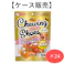 【ケース販売】ゴン太のカミング チューイングシューズ 5個 (1ケース24個入り) ガム デンタルケア 4973321946066【別送品】
