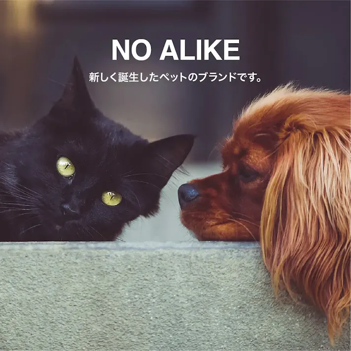 NO ALIKE 抗菌ペットタオルL ホワイト お手入れ【別送品】