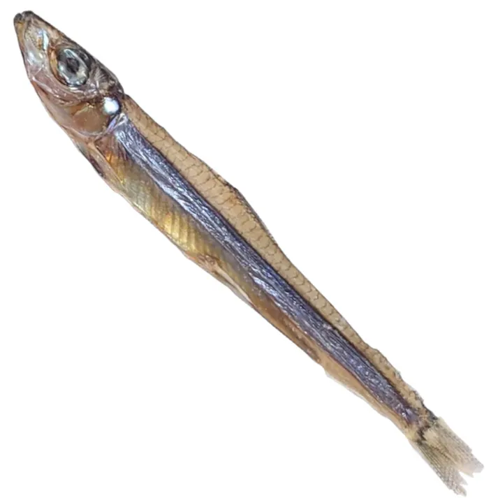 HELL’S KITCHEN 海鮮堂 大容量 干し黍魚子 45g 犬おやつ KSD18F【別送品】