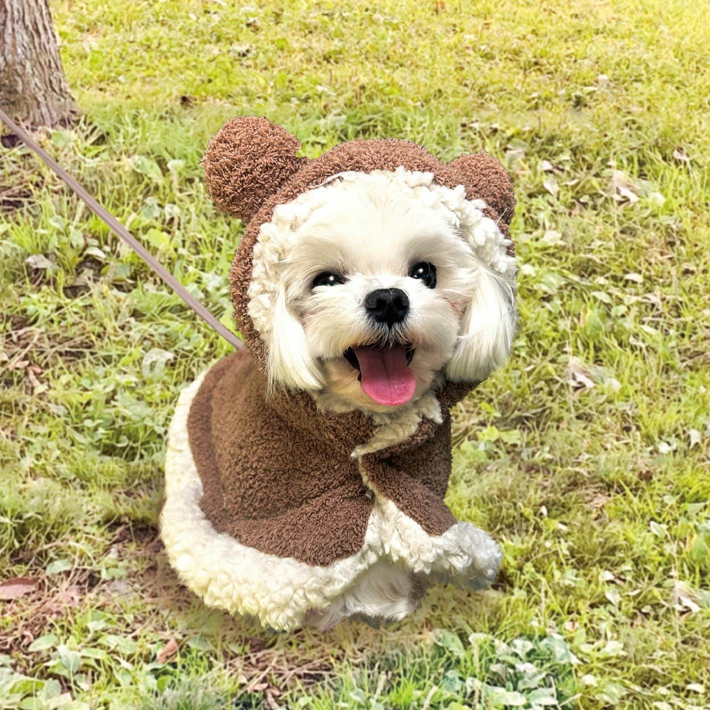 おでかけ!ポンチョ SS くまさん ウェア【別送品】 | ペット用品（犬