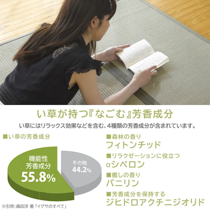 四つ折り畳マットレス 1枚 140×210 ダブルサイズ ベット ベッド 畳 たたみ い草 い草マット ラグ 折りたたみ 四つ折り 敷くだけ 滑り止め付 昼寝 寝具 インテリア おしゃれ オシャレ 和 和風 軽量 コンパクト 収納 赤ちゃん ベビー 4531803325145【別送品】