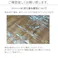 透明ダイニングマット 240×280 1枚 ラグ リビングマット カーペット 保護マット 床暖房対応 抗菌 防水 撥水 はっ水 拭ける すべりにくい PVCマット カットOK テーブルマット クリアマット フロアマット チェアマット リビング 透明ラグ 4531803342555【別送品】