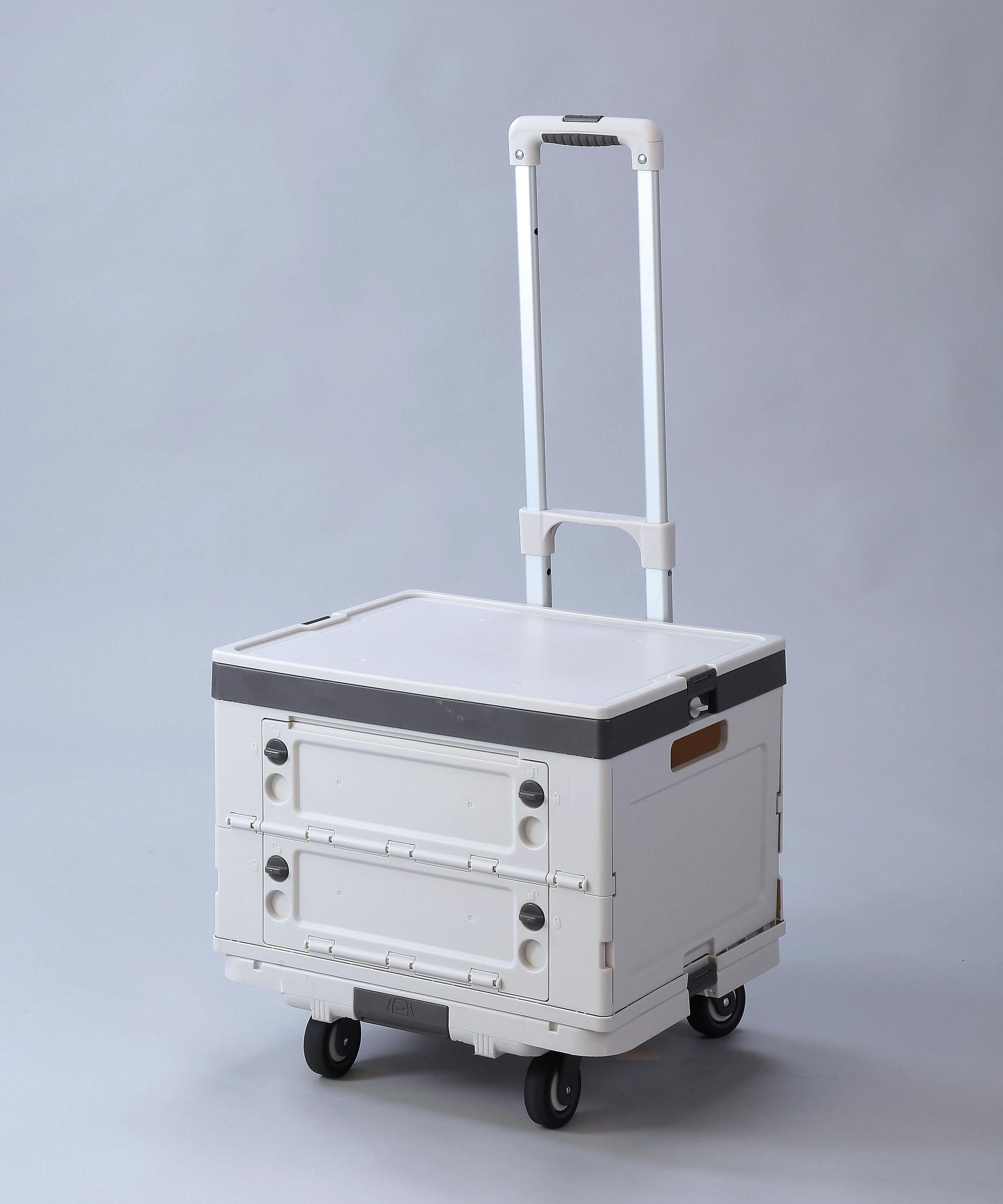 Living Out 超コンパクト!になる台車 専用バスケット付 TAN-3050-2