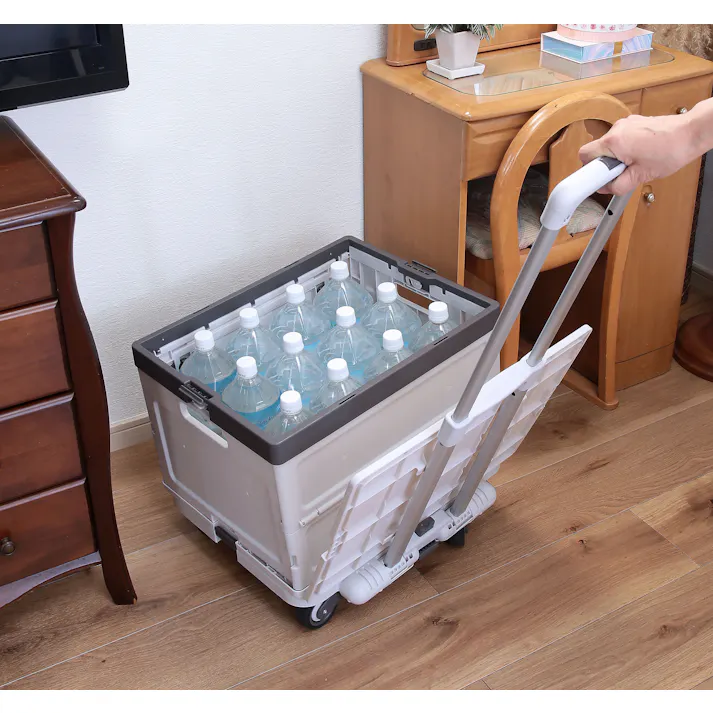 Living Out 超コンパクト!になる台車 専用バスケット付 TAN-3050-2 台車 コンパクト 折りたたみ 4582732652703【別送品】